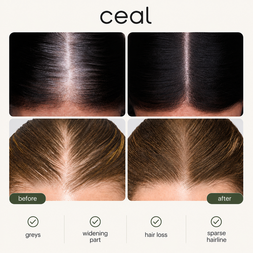 ceal™ dab & go hair concealer
